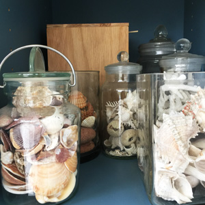 Organizing Thuis: Glazen potten met schelpen